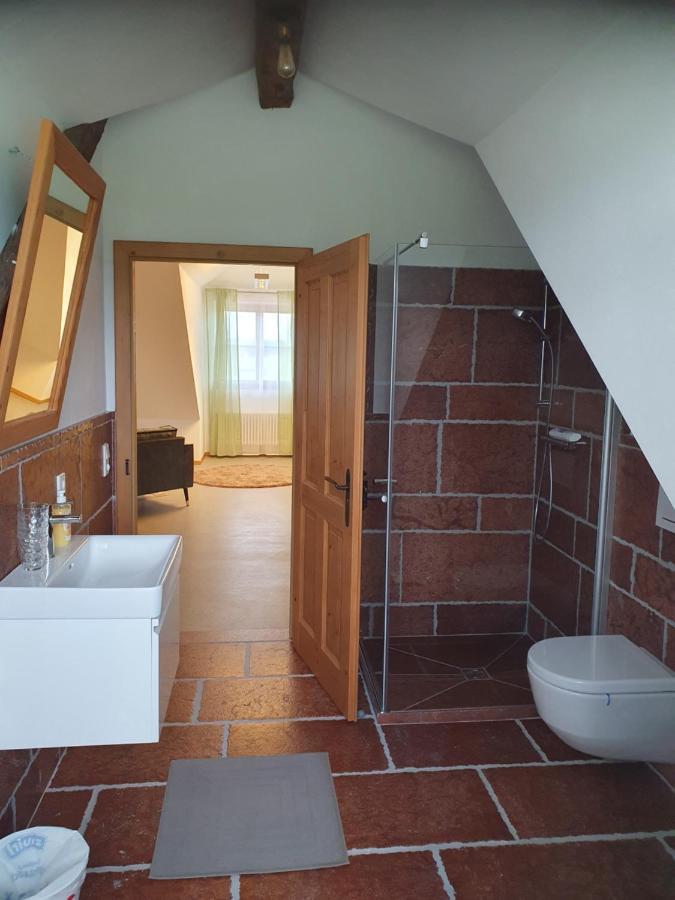 Gutshof Seenland Apartment Seekirchen am Wallersee Ngoại thất bức ảnh