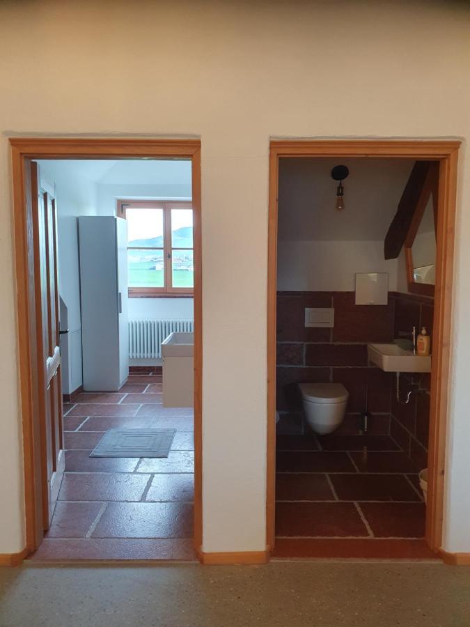 Gutshof Seenland Apartment Seekirchen am Wallersee Ngoại thất bức ảnh